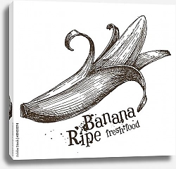 Постер Иллюстрация с очищенным бананом