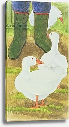 Постер Бентон Линда (совр) Ducks and Green Wellies