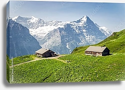 Постер Швейцария. Типичный горный пейзаж