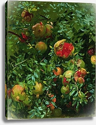 Постер Серджент Джон Pomegranates, Majorca, c.1908