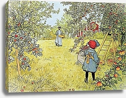 Постер Ларсон Карл The Apple Harvest