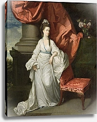 Постер Зоффани Йоханн Lady Grant, Wife of Sir James Grant, Bt., 1770-80