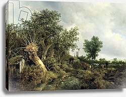 Постер Русдал Якоб Landscape with a Hut, 1646
