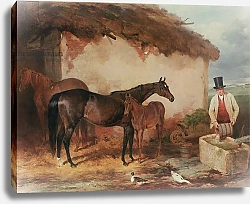 Постер Холл Гарри The Mare 'Perhaps' with her foal, 1846