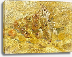 Постер Ван Гог Винсент (Vincent Van Gogh) Айва, лимоны, груши и виноград, 1887