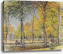 Постер Сислей Альфред (Alfred Sisley) The Bois de Boulogne