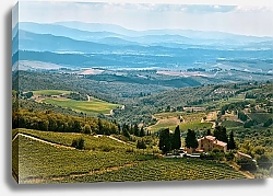 Постер Небольшие фермы и виноградники в долине