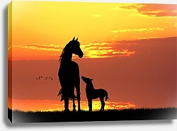 Постер Лошади на закате