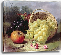 Постер Стэннард Элоиза Still Life with Fruit, 1873