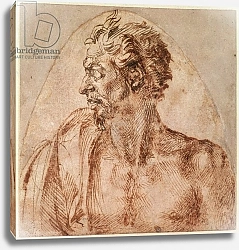 Постер Микеланджело (Michelangelo Buonarroti) Study of Head and Shoulders