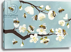 Постер Мур Меган (совр) Bees & Blossoms