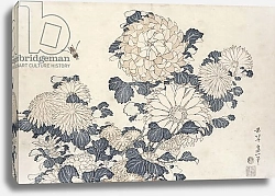 Постер Хокусай Кацушика Bee and chrysanthemums, from the series 'Big Flowers'