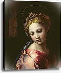 Постер Рафаэль (Raphael Santi) The Madonna, c.1518