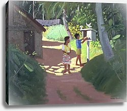 Постер Макара Эндрю (совр) Dovecote, Bentota, Sri Lanka, 1998
