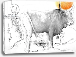 Постер Сикконе Антонио (совр) a cow