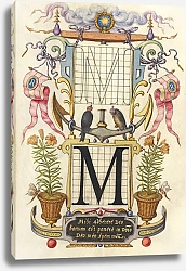Постер Хофнагель Йорис Guide for Constructing the Letter M