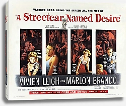 Постер Poster - A Streetcar Named Desire 3