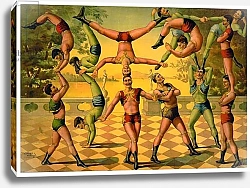 Постер Школа: Американская (19 в) Troupe of male acrobats, c.1891