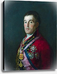 Постер Гойя Франсиско (Francisco de Goya) Герцог Велингтона