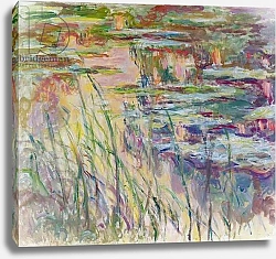 Постер Моне Клод (Claude Monet) Reflections on the Water, 1917