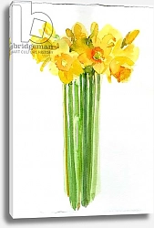 Постер Килинг Джон (совр) Daffodil bunch, 2014,