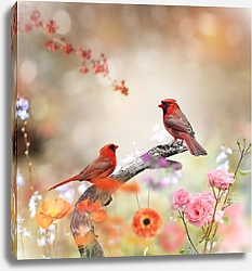 Постер Красные кардиналы на ветке в цветах