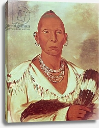 Постер Кэтлин Джордж Portrait of Black Hawk, Indian Chief