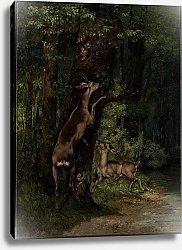 Постер Курбе Гюстав (Gustave Courbet) Deer in the Forest, 1868