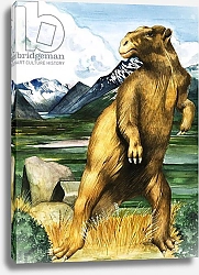 Постер The Megatherium, 1980