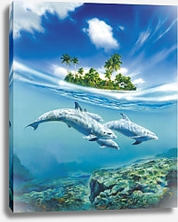 Постер Семья дельфинов у острова