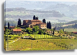 Постер Италия. Виноградники Тосканы