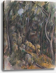 Постер Сезанн Поль (Paul Cezanne) The Grounds of the Ch?teau Noir