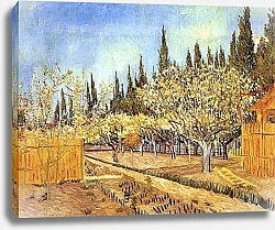 Постер Ван Гог Винсент (Vincent Van Gogh) Фруктовый сад в цвету в обрамлении кипарисов 2