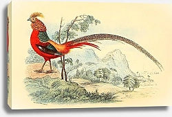 Постер The Golden Pheasants