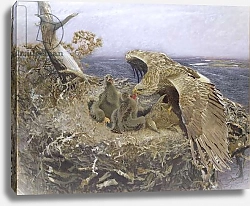 Постер Лильефорс Бруно Sea Eagle's Nest, 1907