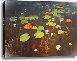 Постер Левитан Исаак Water Lilies 1895