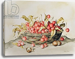 Постер Клейзер Амелия (совр) Basket of cherries, 1998