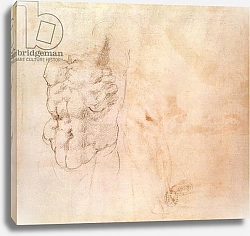 Постер Микеланджело (Michelangelo Buonarroti) Torso Study