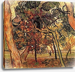 Постер Ван Гог Винсент (Vincent Van Gogh) Набросок сосен