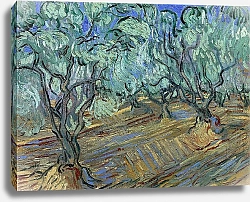 Постер Ван Гог Винсент (Vincent Van Gogh) Оливковая роща, 1889 г.