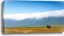 Постер  Африканский пейзаж со слоном