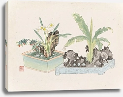 Постер Неизвестен Bonsai kabenzu, Pl.05