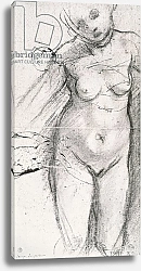Постер Понтормо Якопо Knee Length Study of a Nude Woman