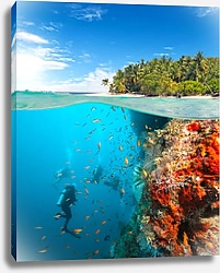 Постер Группа аквалангистов изучает коралловый риф