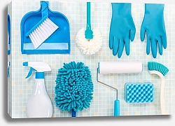 Постер Голубые инструменты для уборки