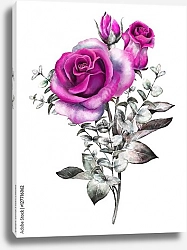 Постер Пурпурная роза с серыми листьями