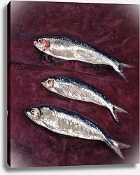 Постер Дэвидсон Питер (совр) Three Fish, 1997