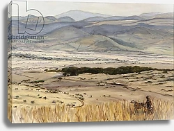 Постер Сандерс Франческа (совр) Cheetah pair in landscape, 2014