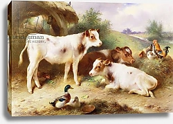 Постер Хант Уолтер Calves and Poultry by a Byre, 1922