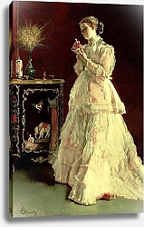 Постер Стивенс Альфред The Lady in Pink, 1867